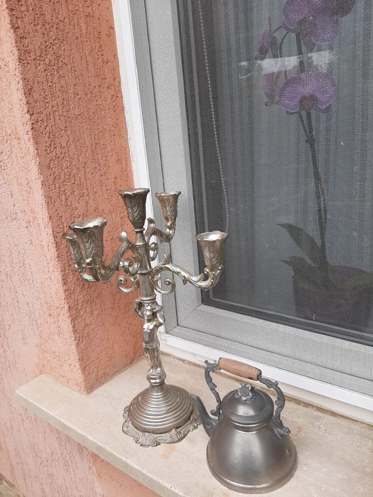 Supoty lunanari argiint