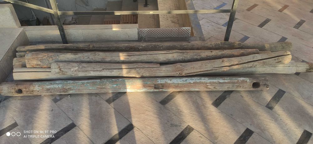 Продаются болори