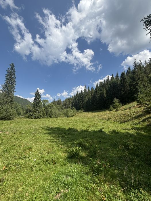 Vând teren, sat Ciurtuci, Beliş (în apropiere de lacul Belis)