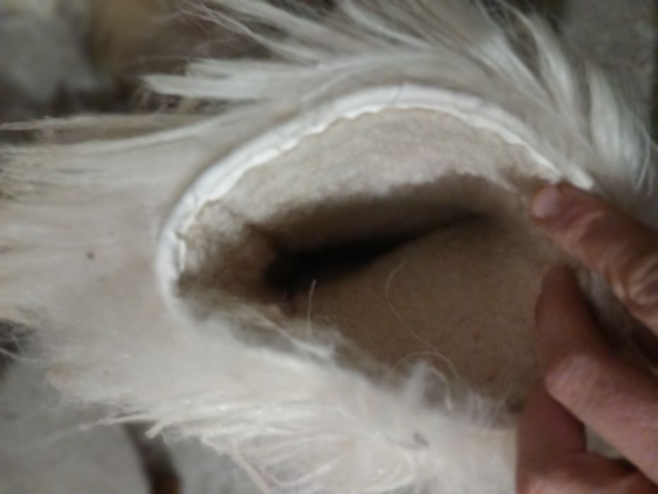 Vand botine/papuci iarna /traditionali/cizme iarna