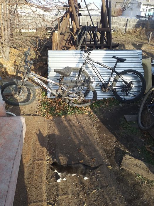 Два велосипеда маленький 10000 побольше30000