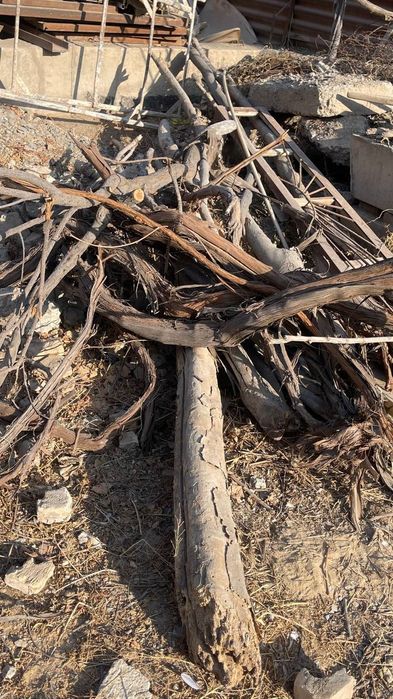 Отын бар 26 мкрда