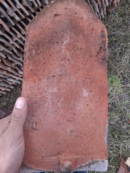 Țiglă solzi de peste