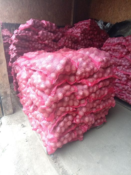 Cartofi consum alb si rosu