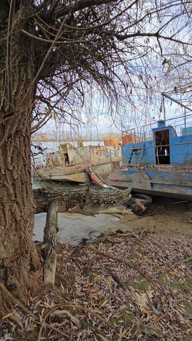 vand pontoane dormitoare