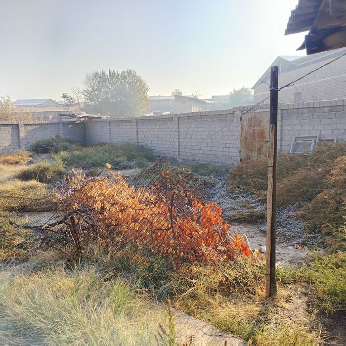 Srochna xovli sotiladi