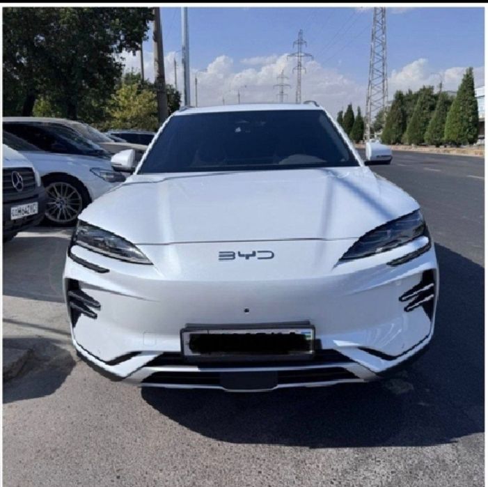 BYD Chempion 605 restayning