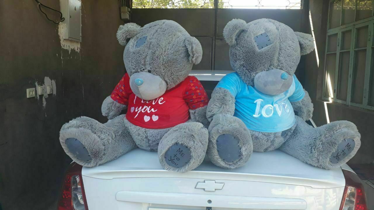 Teddi,Teddy,Teddiy