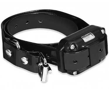 Обучителен нашийник за дресиране на куче