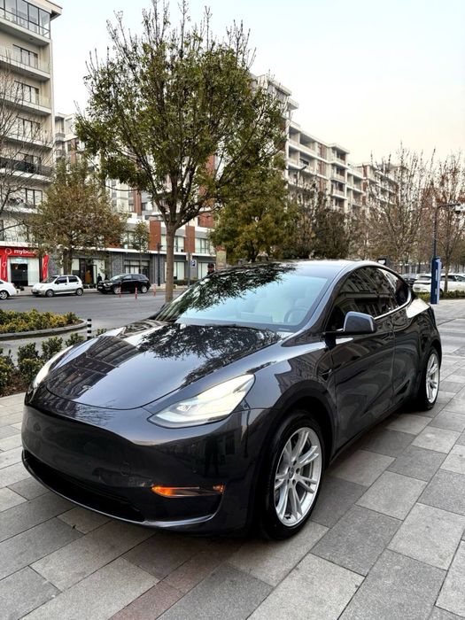 Tesla Model Y Standart USA  2021/222 Srochno