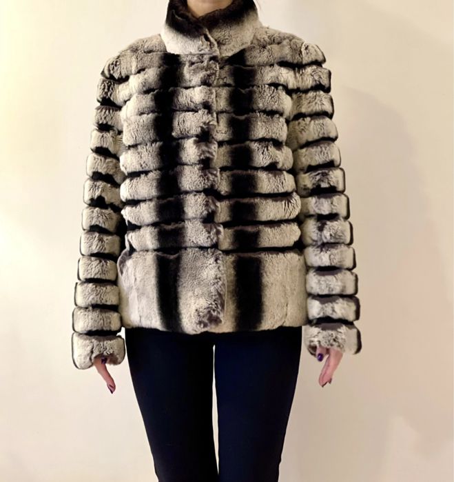 Blana Rex Chinchilla