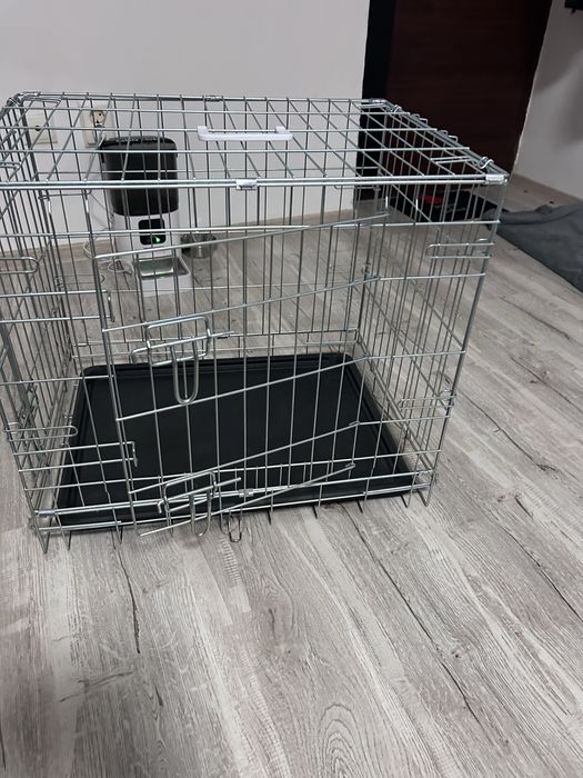 Vand cusca animale de companie