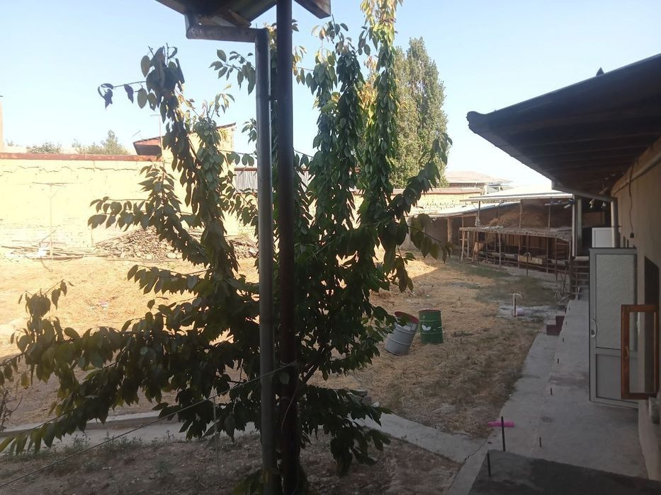 Nazarbek torozda 10sotuk uy sotiladi