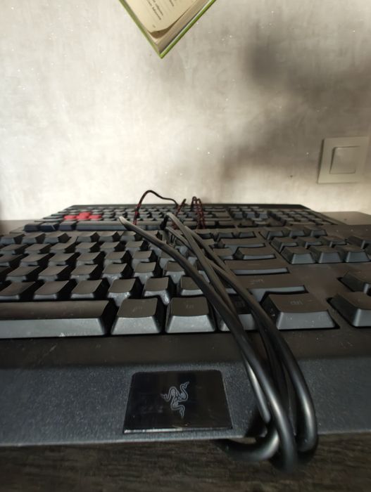 Клавиатура Razer Cynosa Lite и bloody