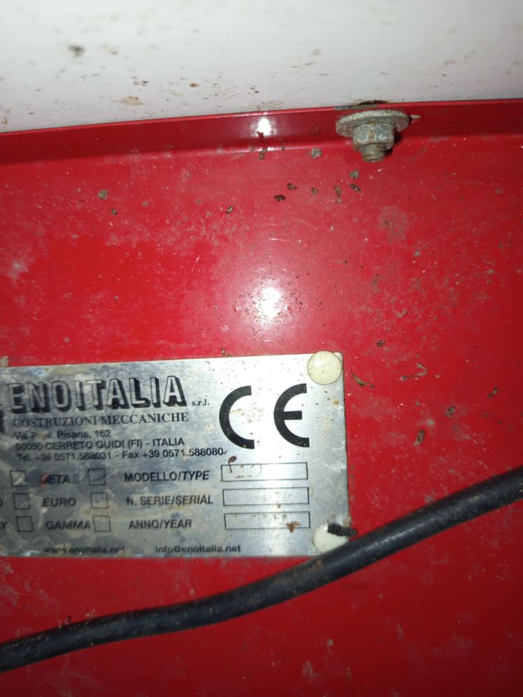Гроздомелачка италианска