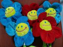 Flori pluș Smiley Daisy