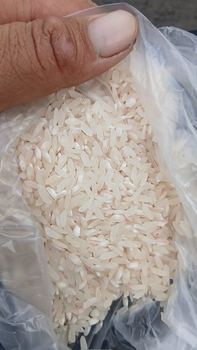 Продам по оптовой цене рис