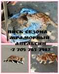 Мальчик  4,5месяца