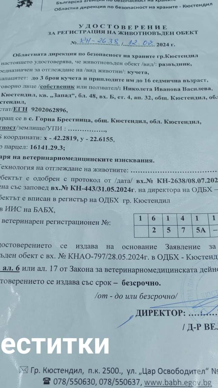 Бебе мопс си търси любящо и грижовно семейство