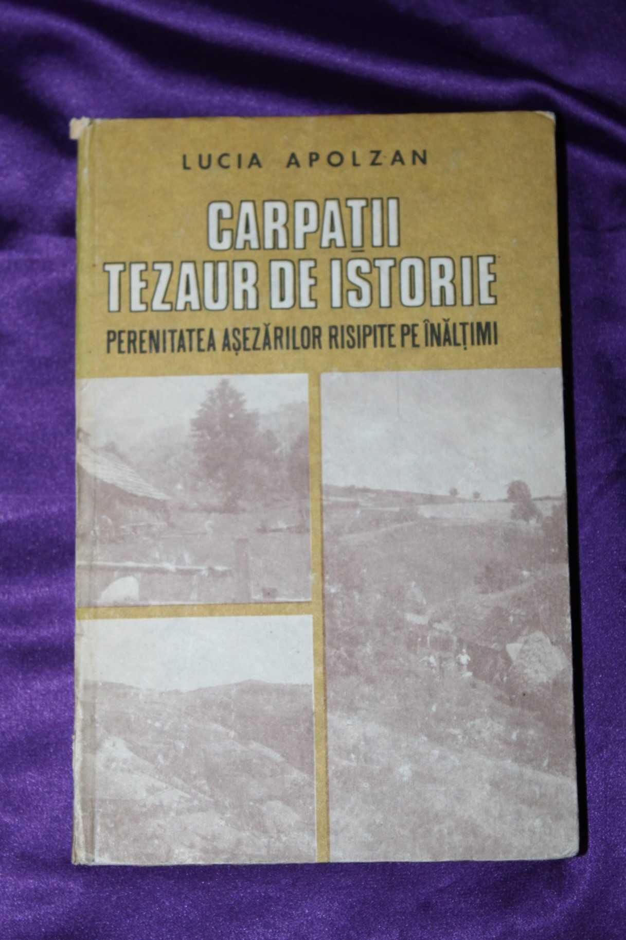 Lucia Apolzan  Carpatii tezaur de istorie etnografie hunedoara apuseni