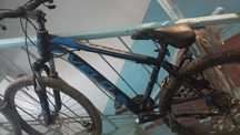 Velosiped arzon narxda