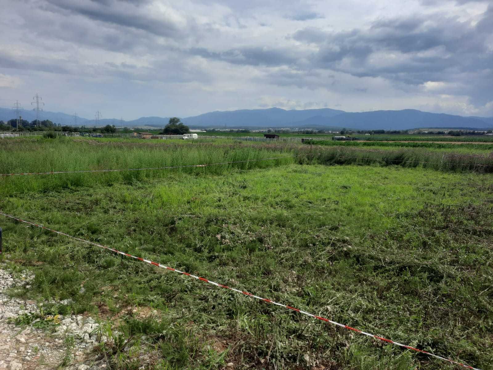 Vând teren extravilan Șelimbăr -500mp