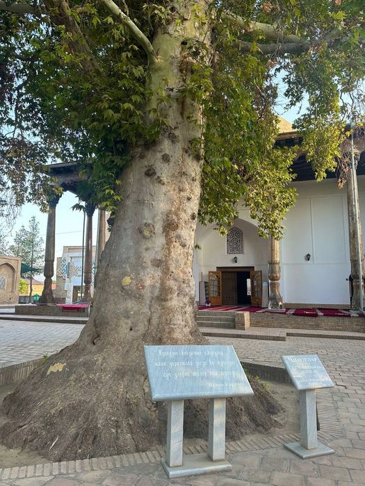 2дневный тур с гидом по Самарканду с выездом в Шахрисабз на автомобиле