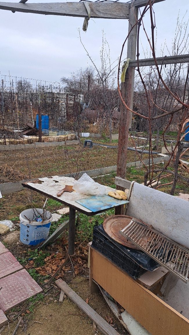 Огород в Родничке-1