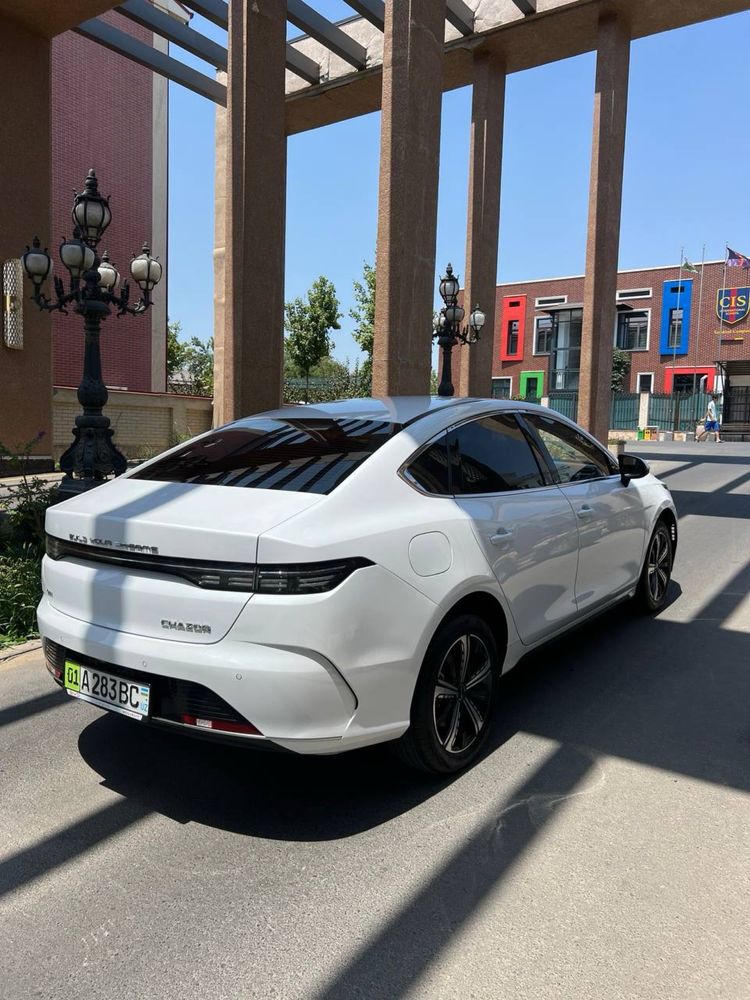 BYD chazor 120 tali