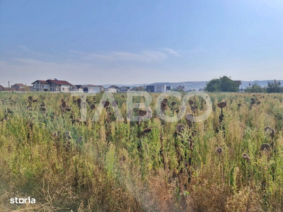 Teren intravilan de vanzare in Sebes drumul Petrestiului