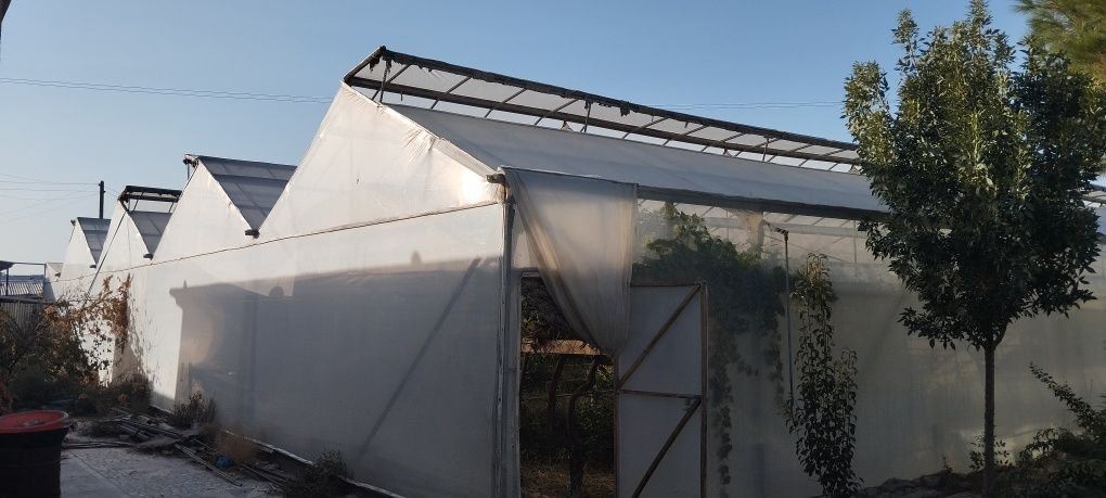 14sotixli (Teplitsa) Issiqxona sotiladi