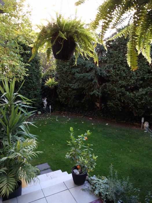 Apartament 3 camere  , constructie 2009   ,  84mp