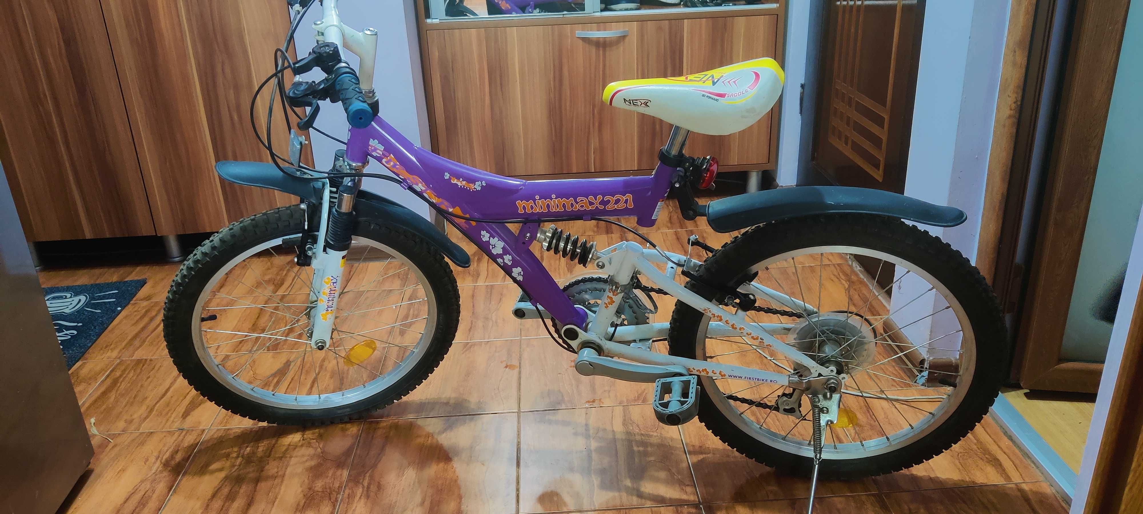 Bicicleta Minimax 221