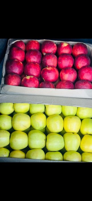 Алма сатылады, яблоко