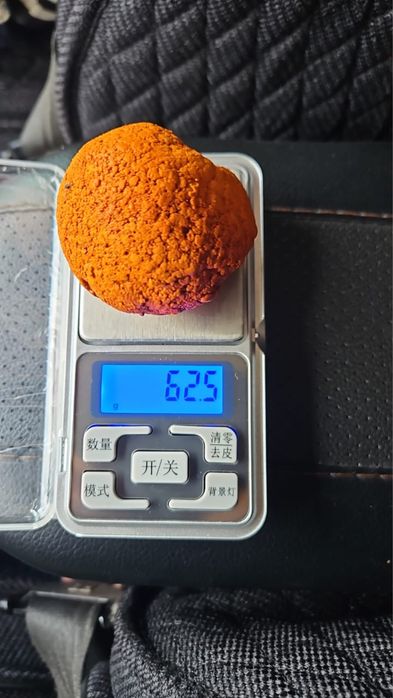 Желчный камень крупнорогатого скота