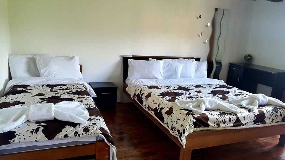 СВОБОДНА ЗА НОВА ГОДИНА Старата вила - къща за гости - с. Горни окол