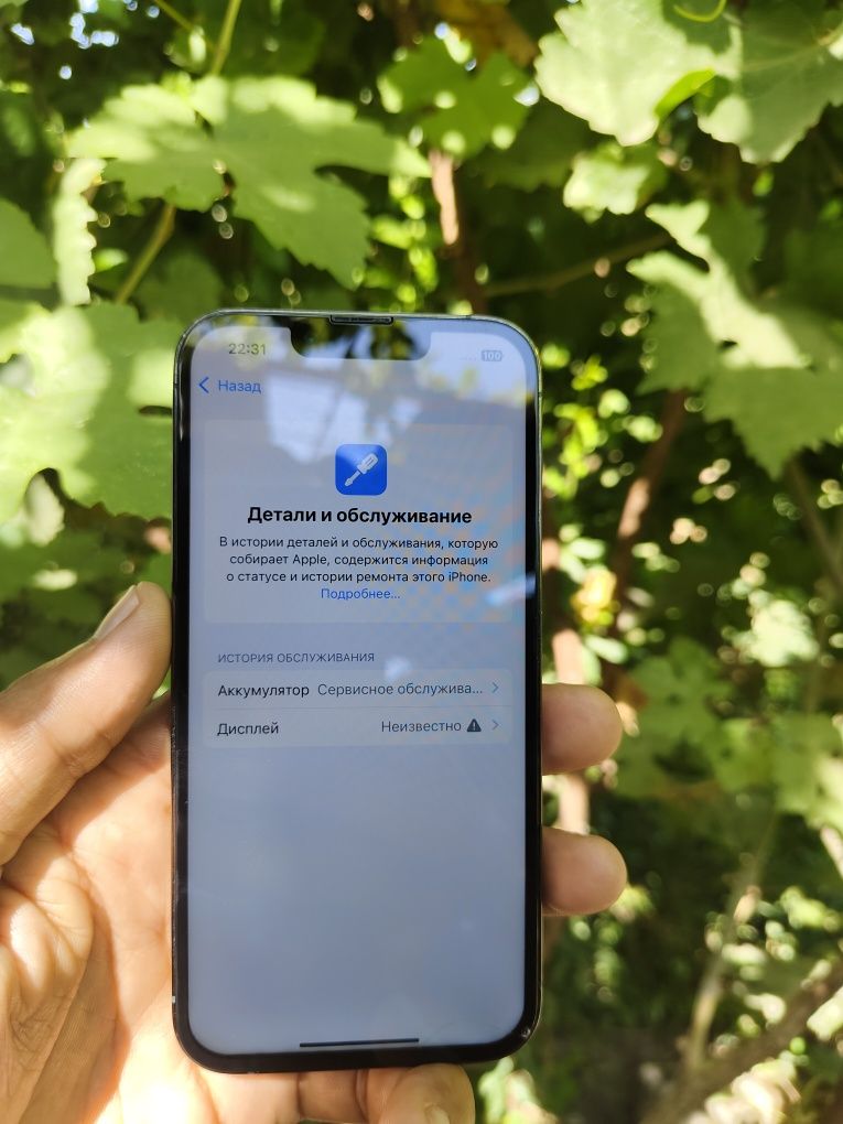 Iphone 13 Pro 128/78 radnoy