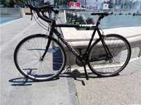 Bicicleta cursiera