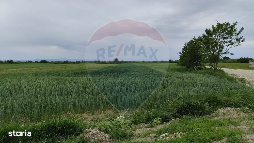 Teren intravilan Ulmeni !