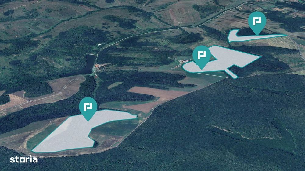 Pădure 50,7 ha în județul Arad