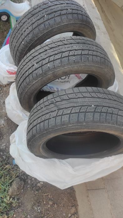 Продам шины зимние triangle