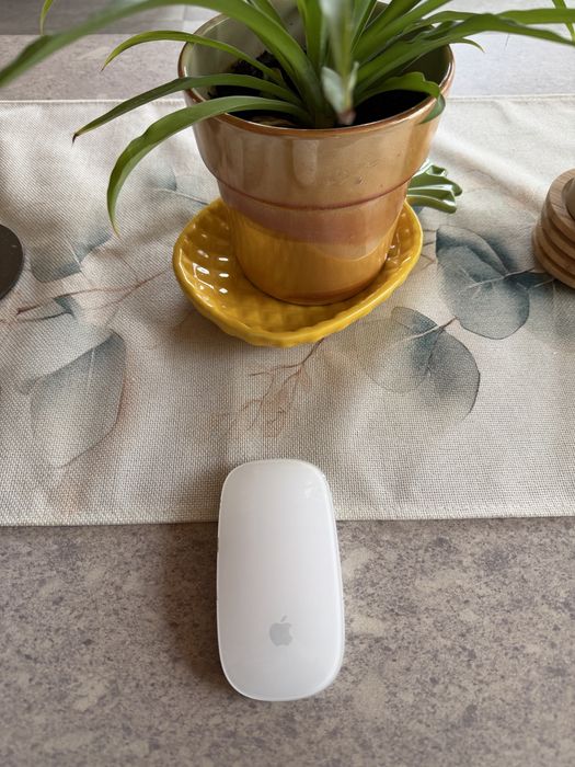 Magic Mouse Apple