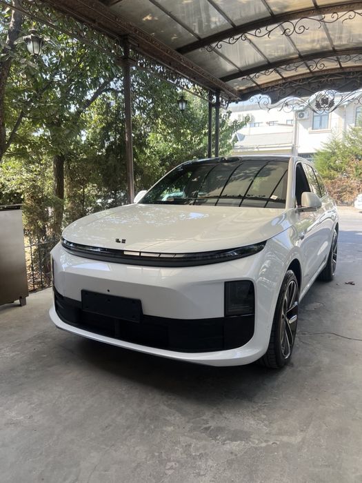 Lixiang Li 6 MAX 2024 /11 тоза