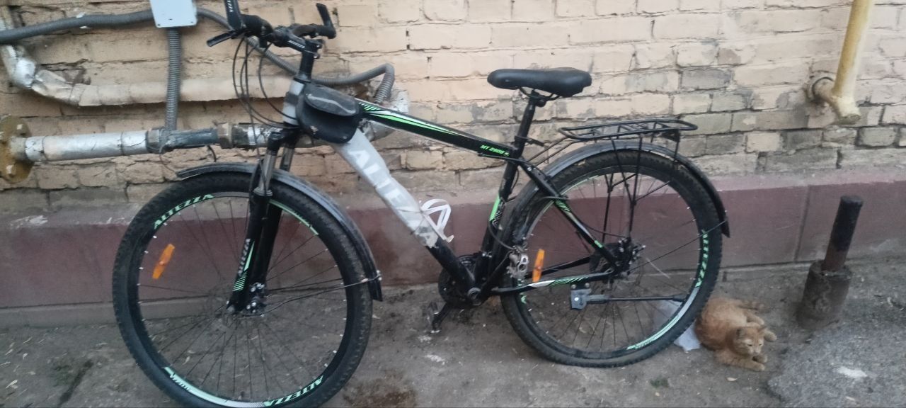 Altezza 29 velosapeti