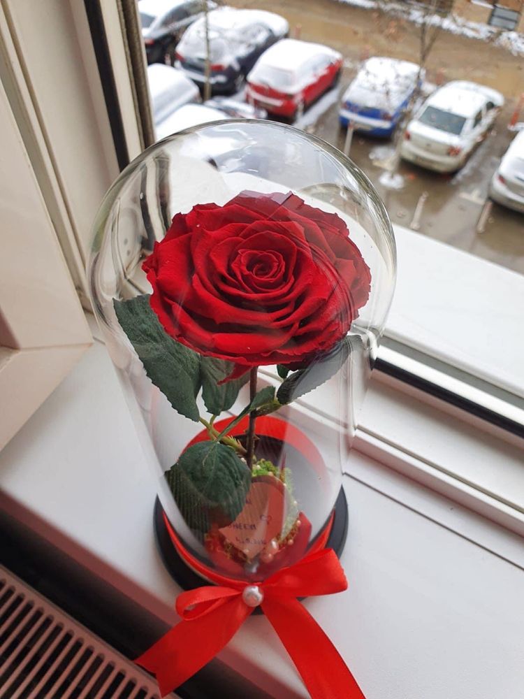 Cupola cu trandafir criogenat 8 Martie