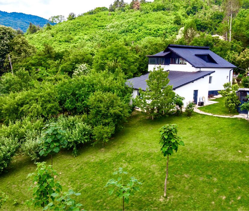 Cazare Calimanesti Caciulata Vila Upforest Revelion/ craciun