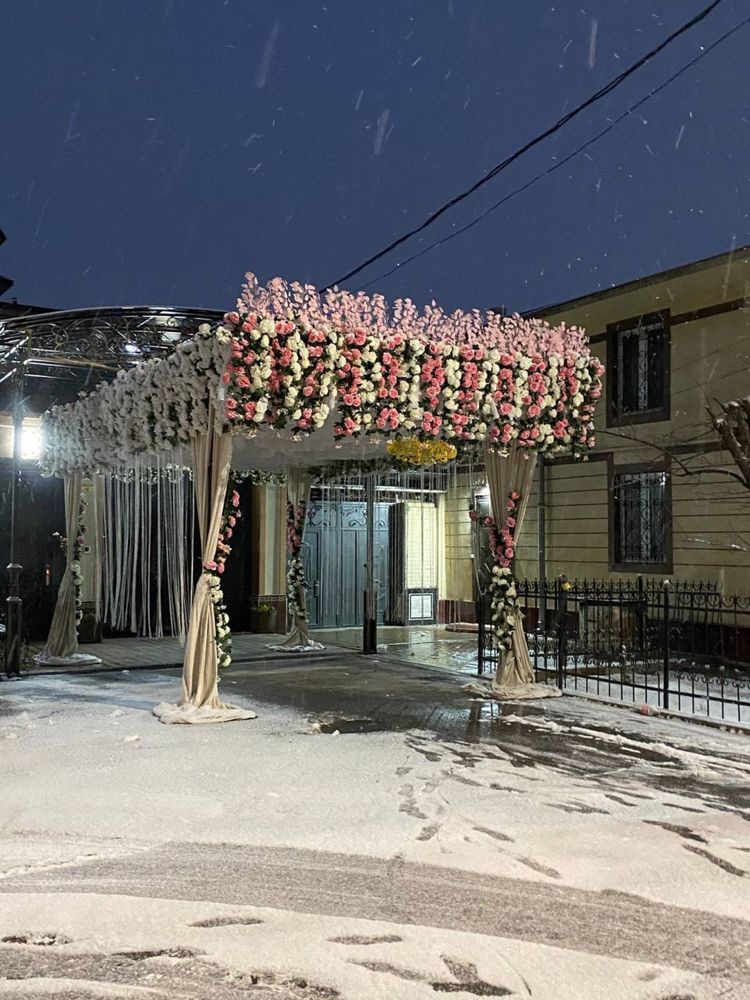 Оформления oformleniya xizmati 600.000 somdan boshlanadi