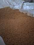 Triticale de vanzare