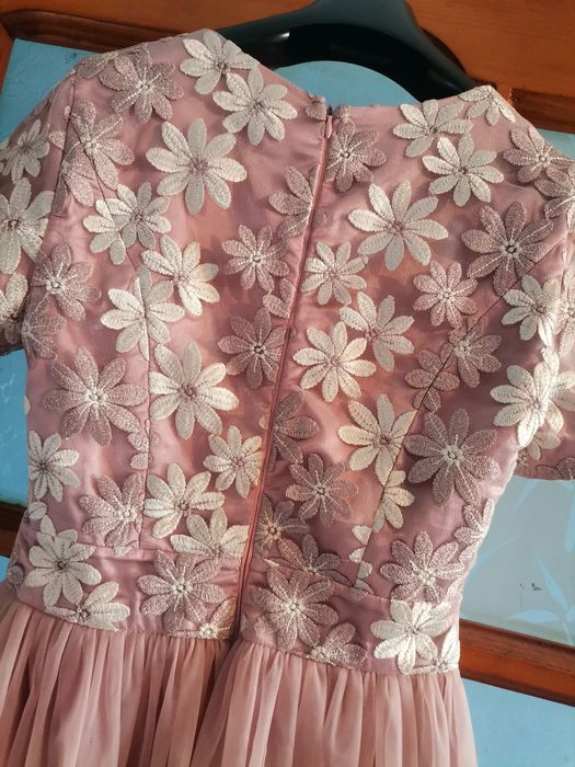 Rochita de nasa lunga.