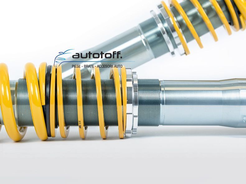 Suspensie sport reglabila Porsche Cayman (05-13) FK Germania